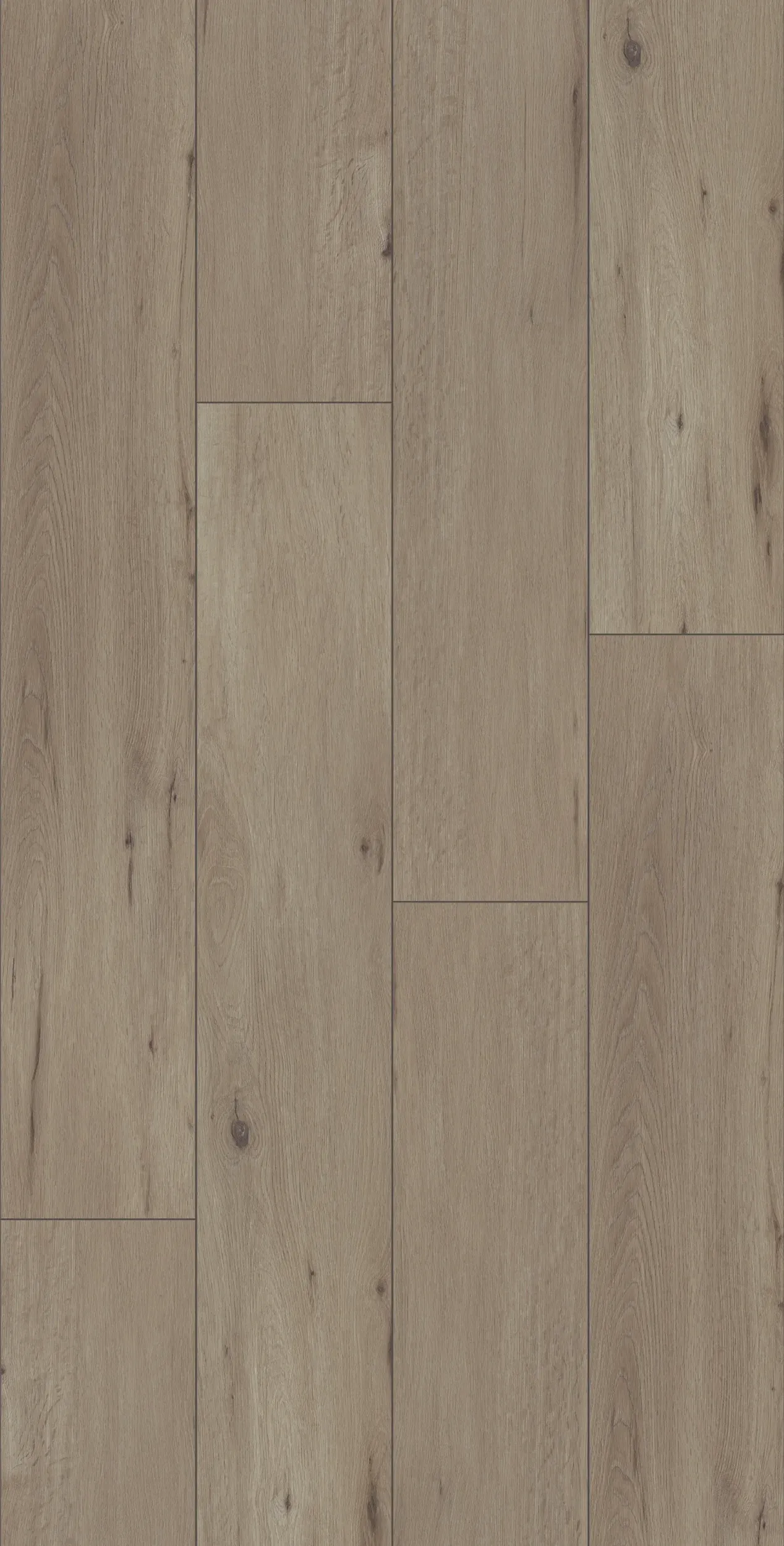 prestin-oak-DVLHDG0684-LHM-98