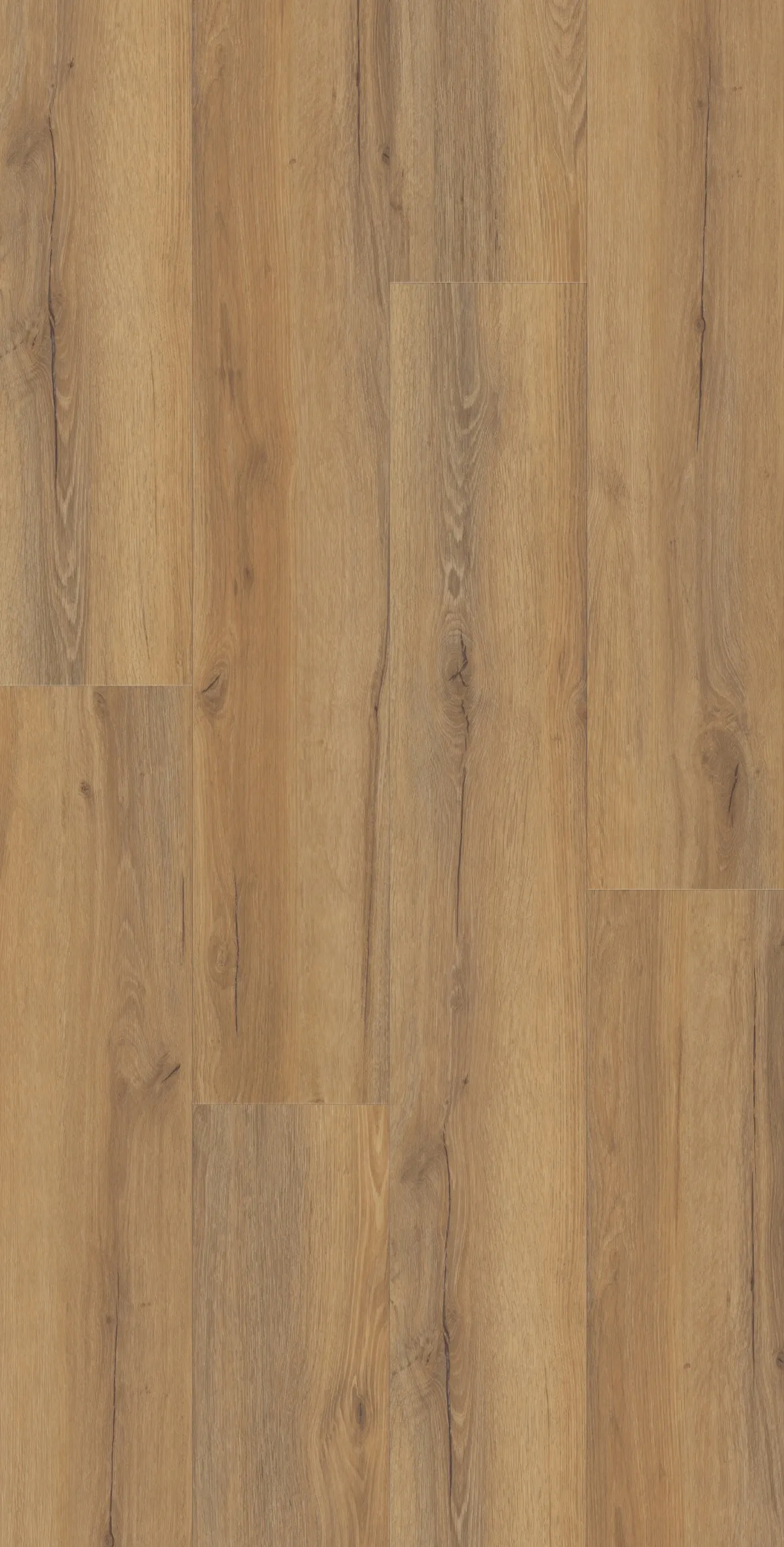 ravel-honey-DVLHDG0718-LHM-5