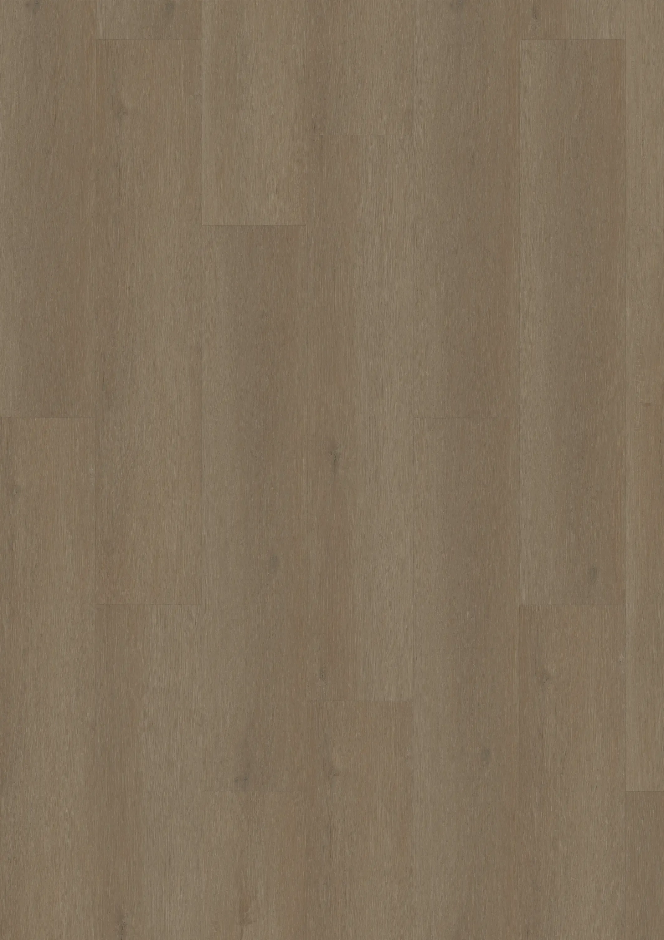 riston-noir-DVLHDG0860-BCO-1