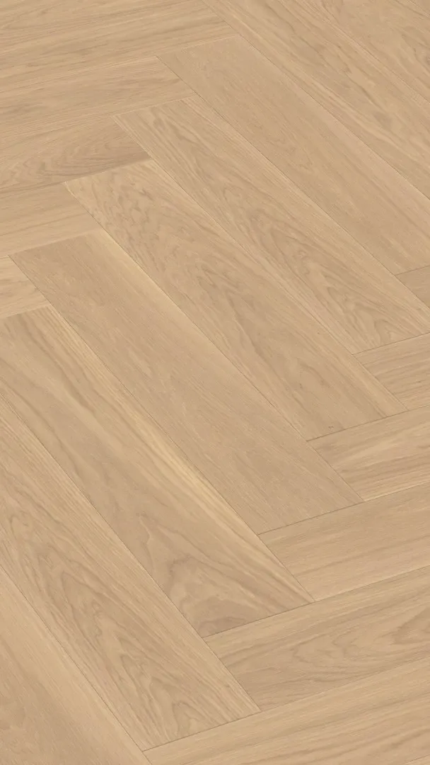 Cotton Feel - FPHB0182-BON - 4