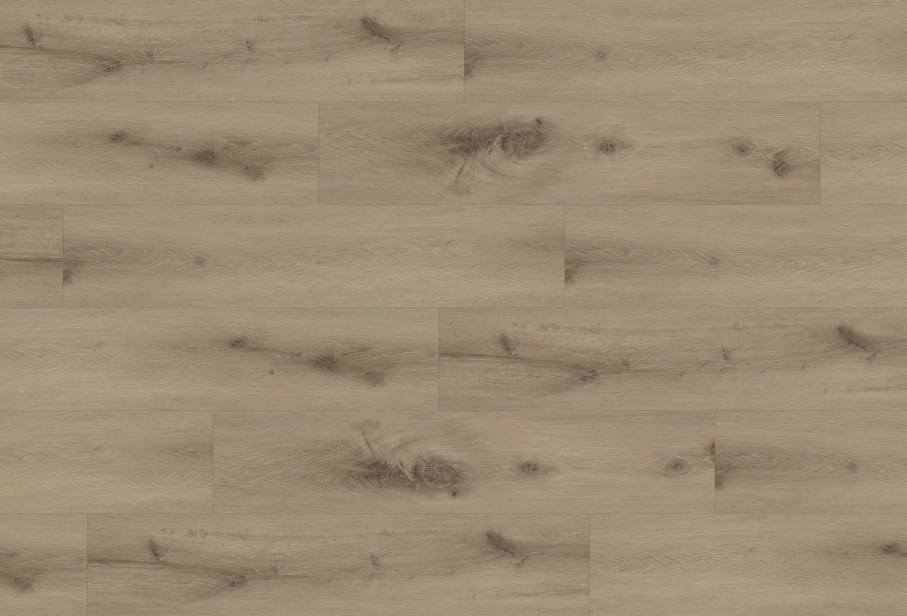 salvic-ocean-DVLHDL0013-BCO-1