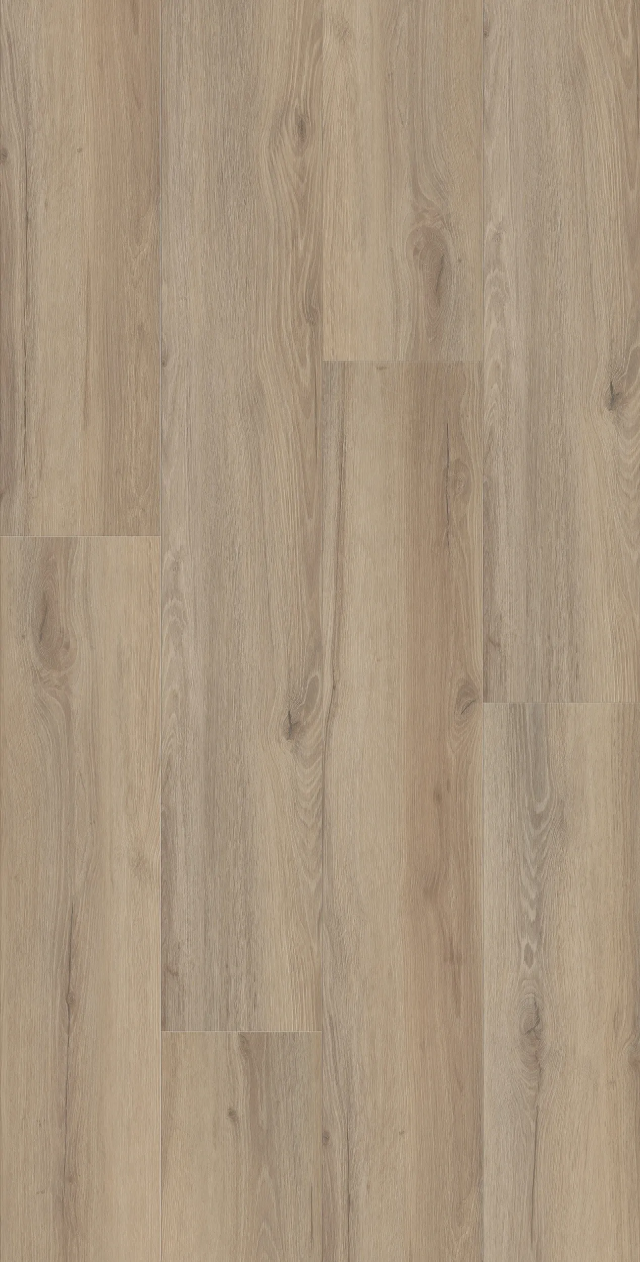 sela grace-DVLHDC0719-LHM-1