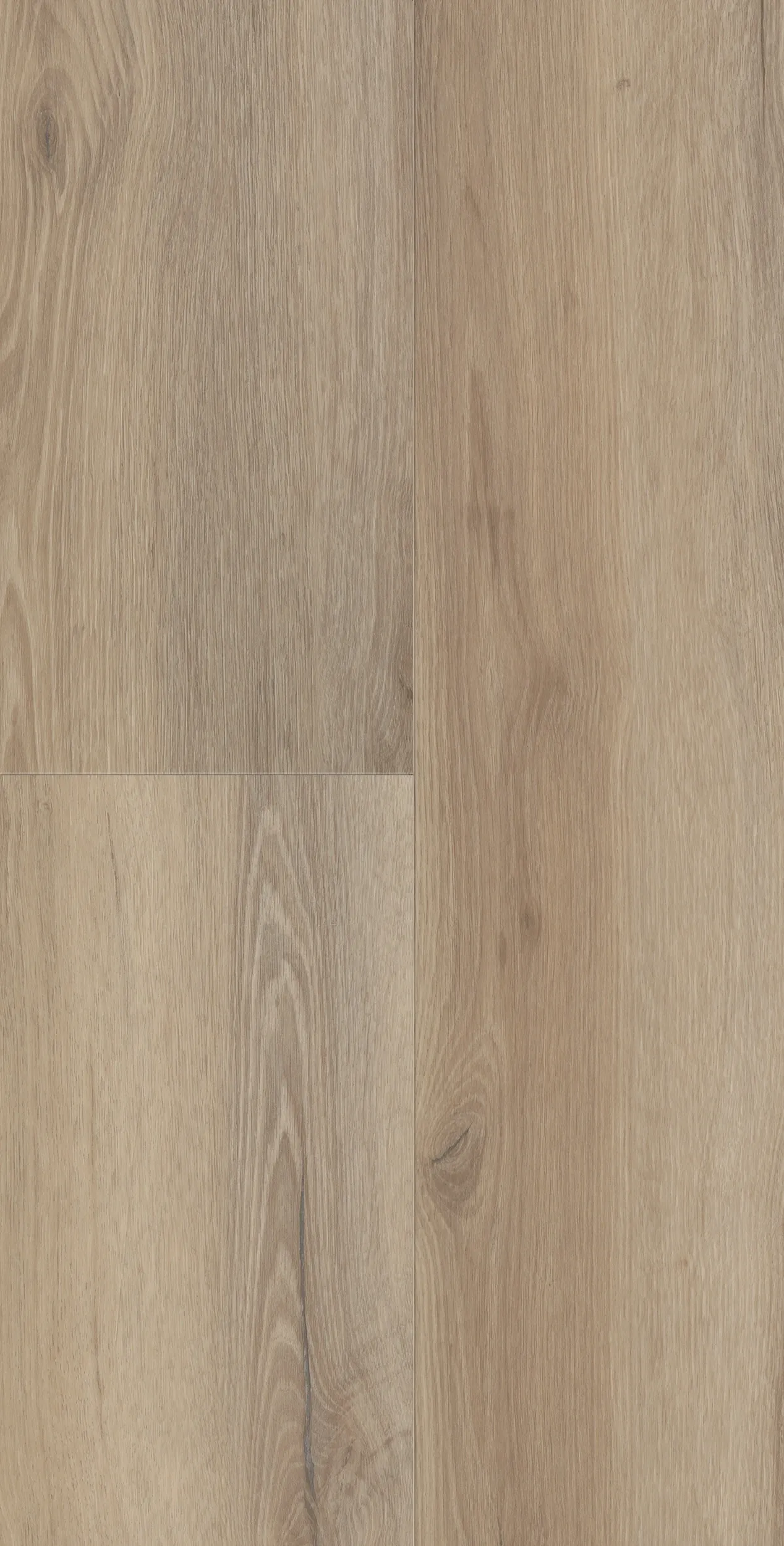 sela grace-DVLHDC0719-LHM-2