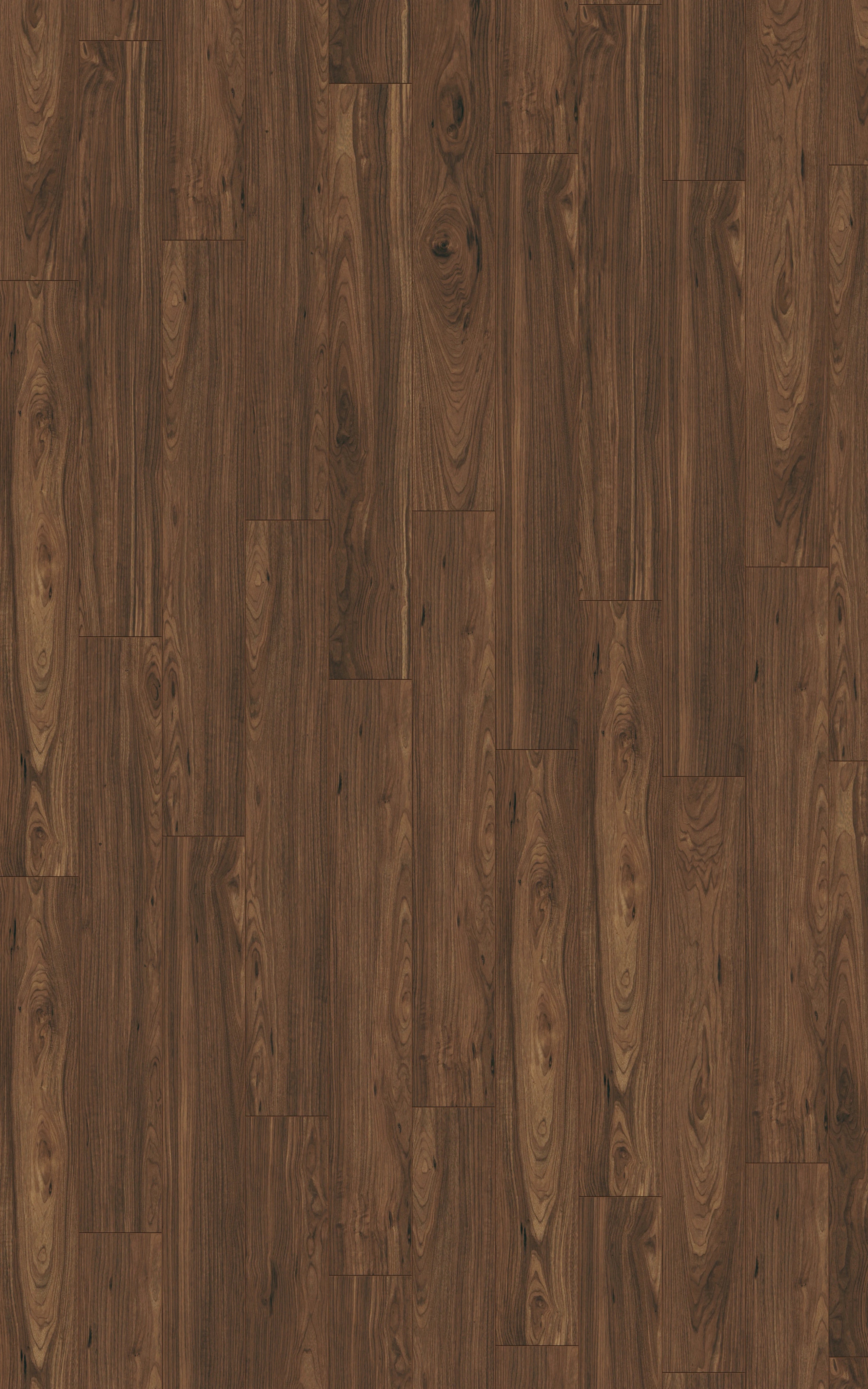 Walnut Hill - LA-LHD0094-KRO - 3