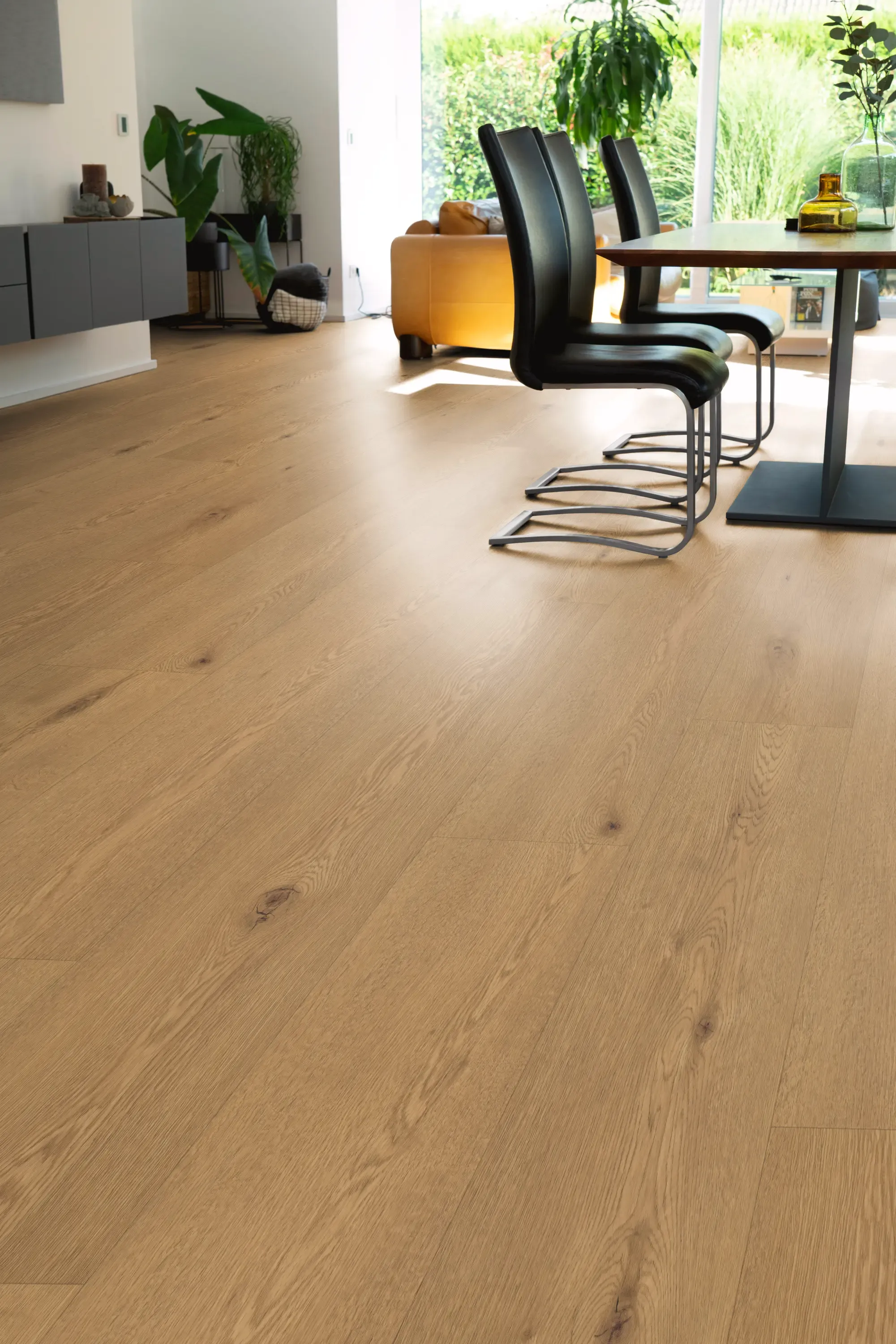 torvik-prime-DVLHDL0008-BCO-2