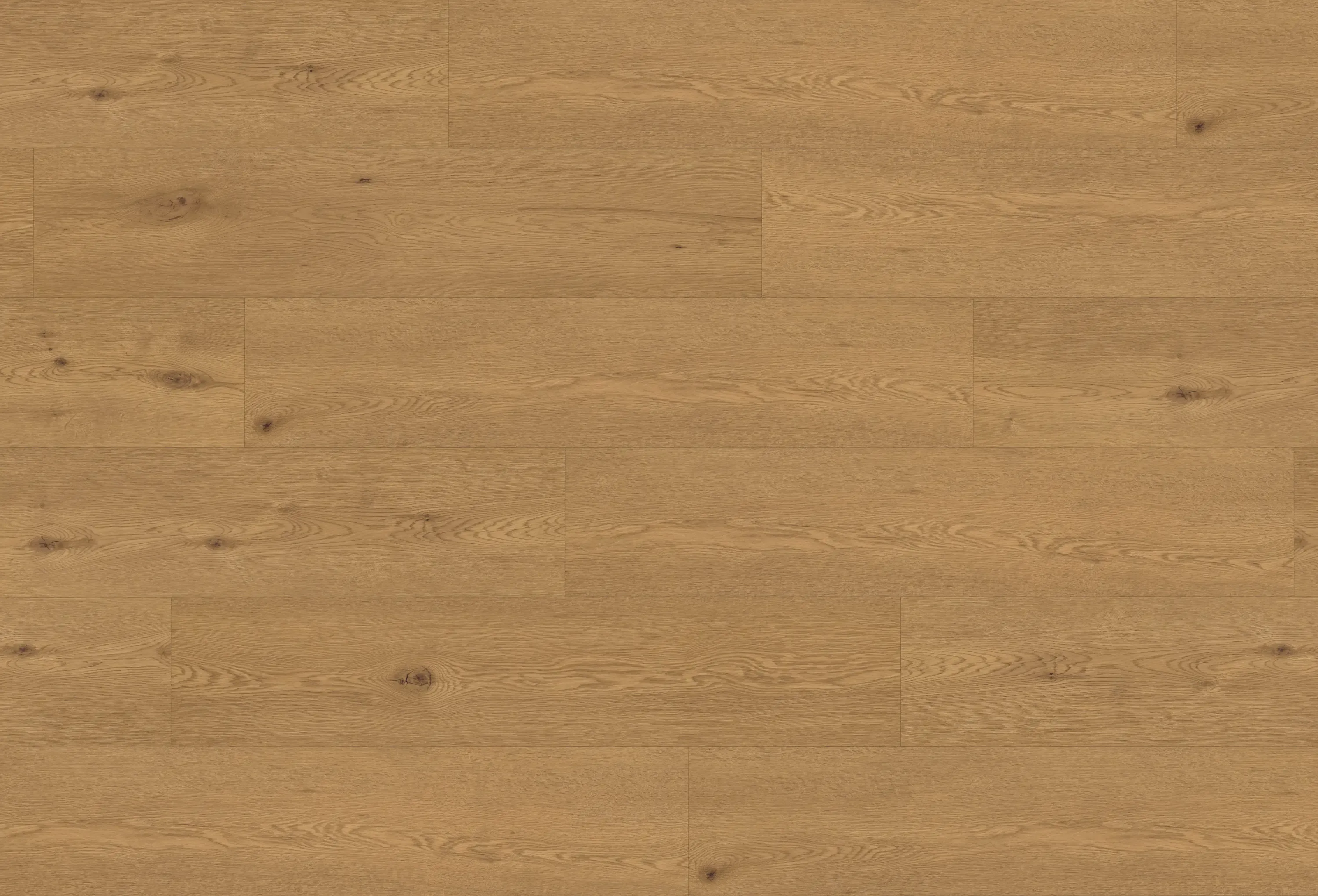 torvik-prime-DVLHDL0008-BCO-4