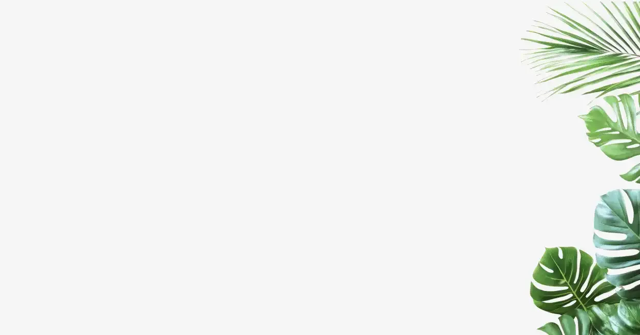 tropical-leaves-white