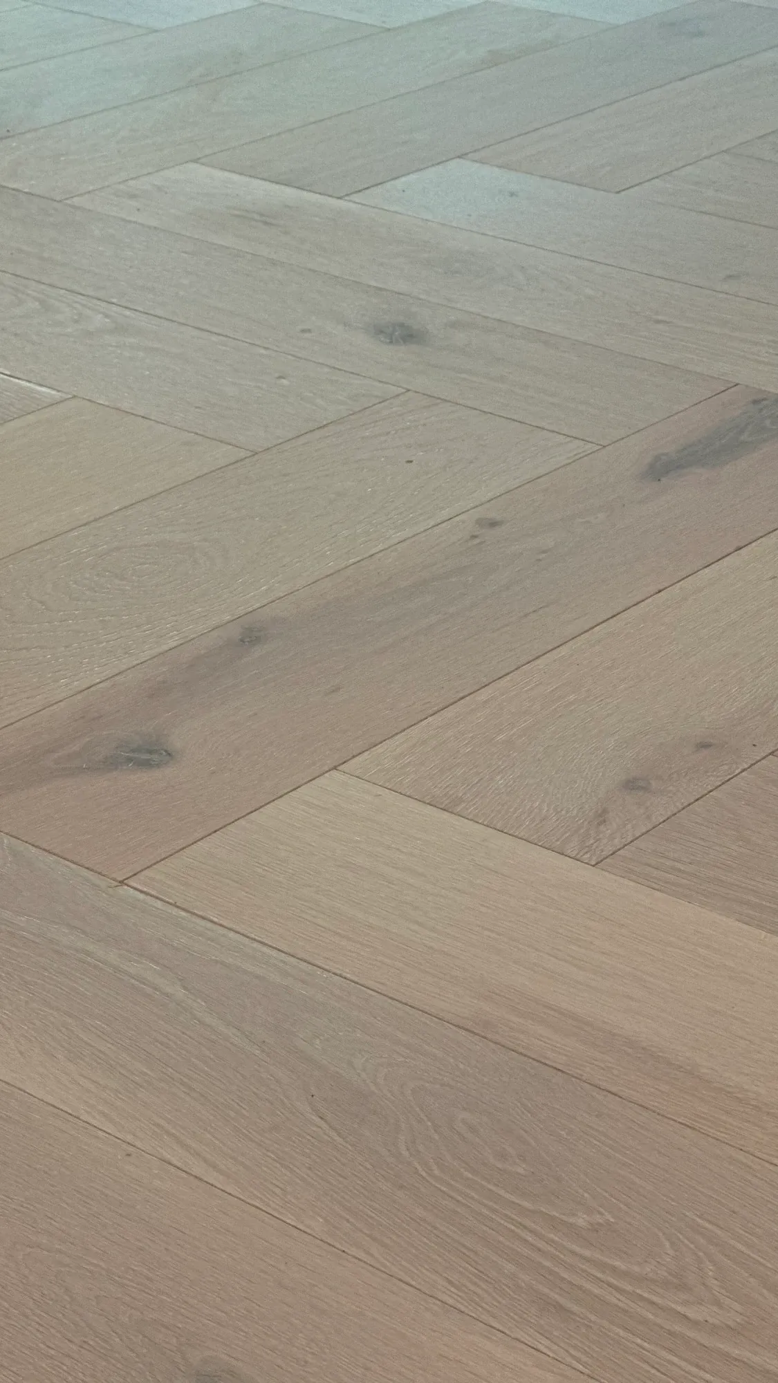 Salen Soft - FPHB0201-BON - 3