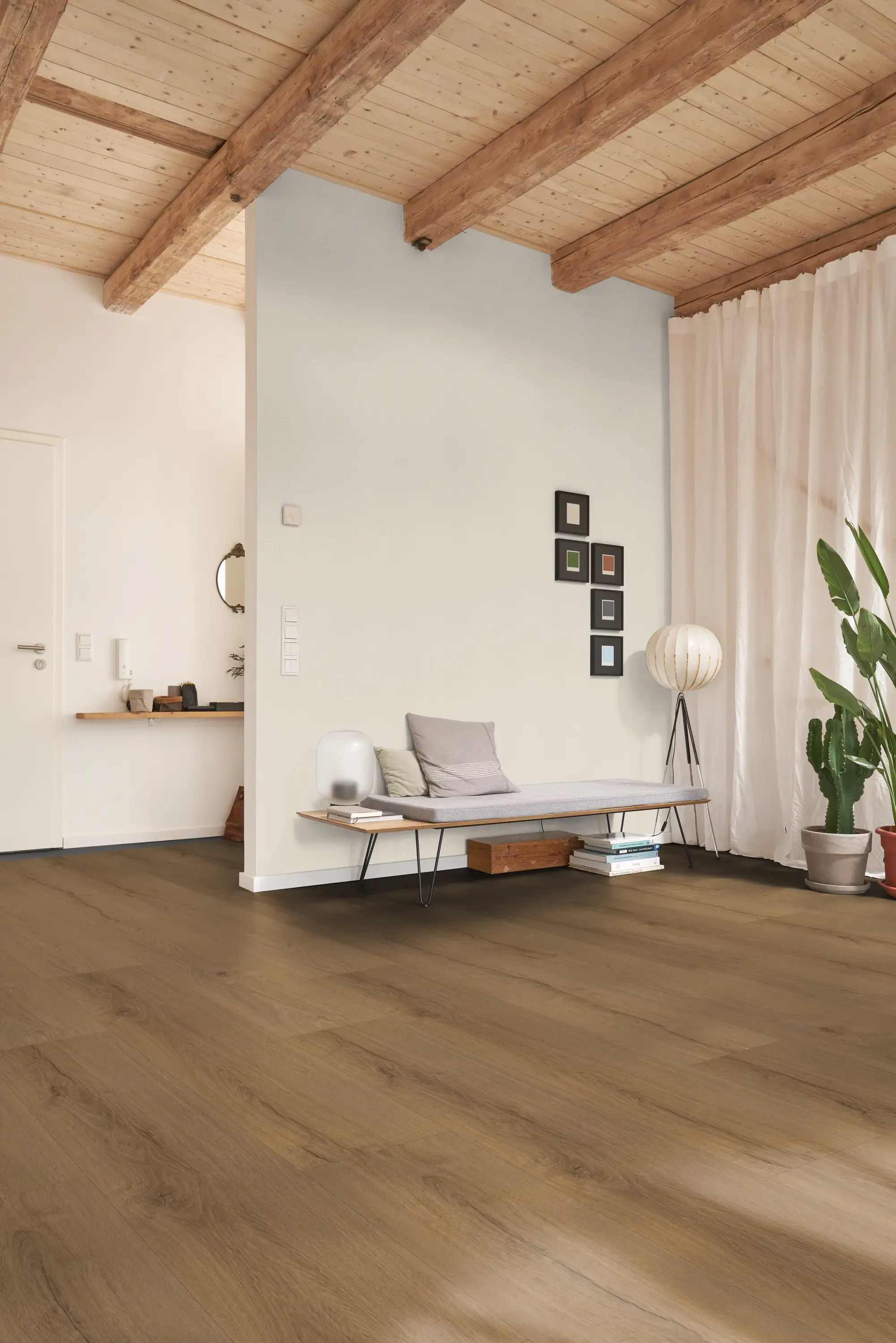 visto-dawn-DVLHDL0009-BCO-1