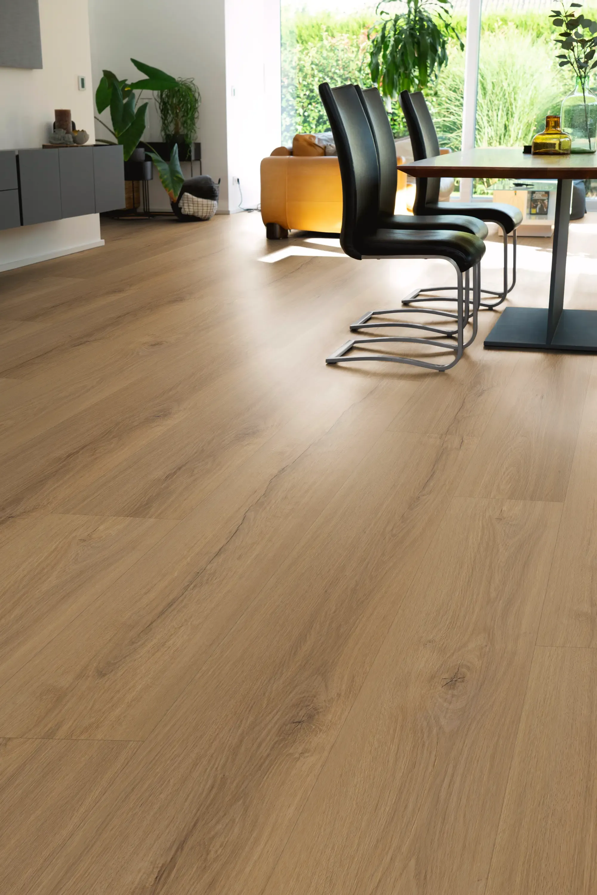 visto-dawn-DVLHDL0009-BCO-2