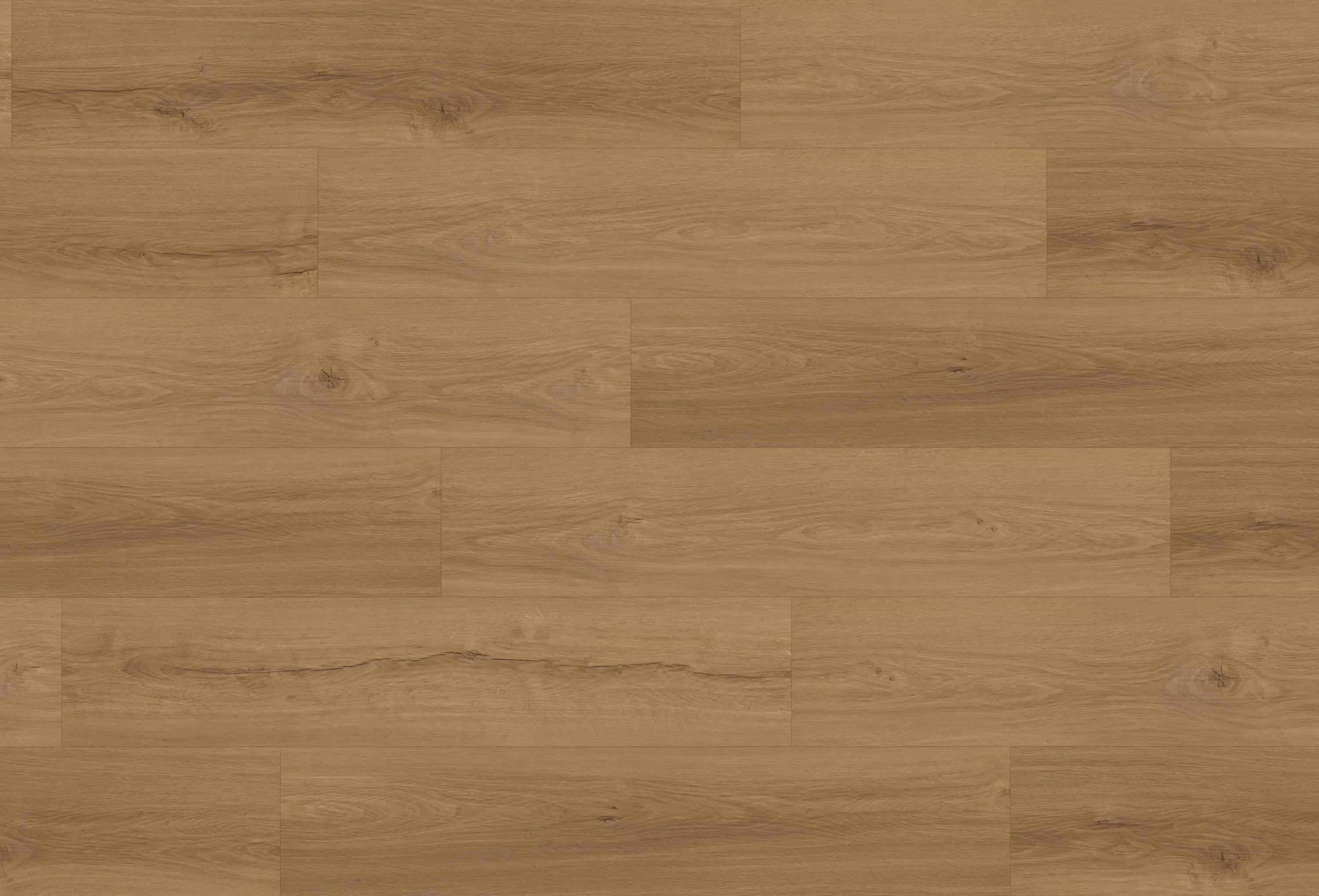 visto-dawn-DVLHDL0009-BCO-4