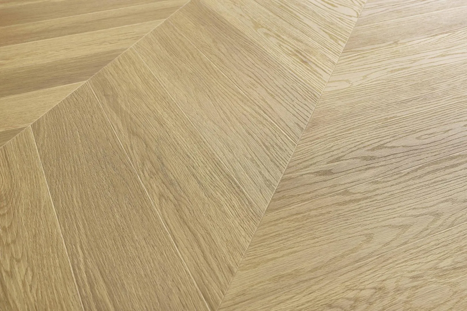 Selvo Gold - DVCHC0887-ARB - 2