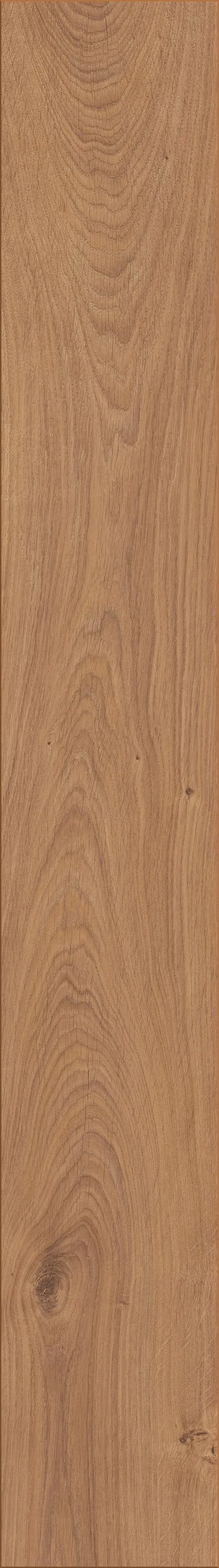 Gold Coast Oak - LA-LHD0095-KRO - 8