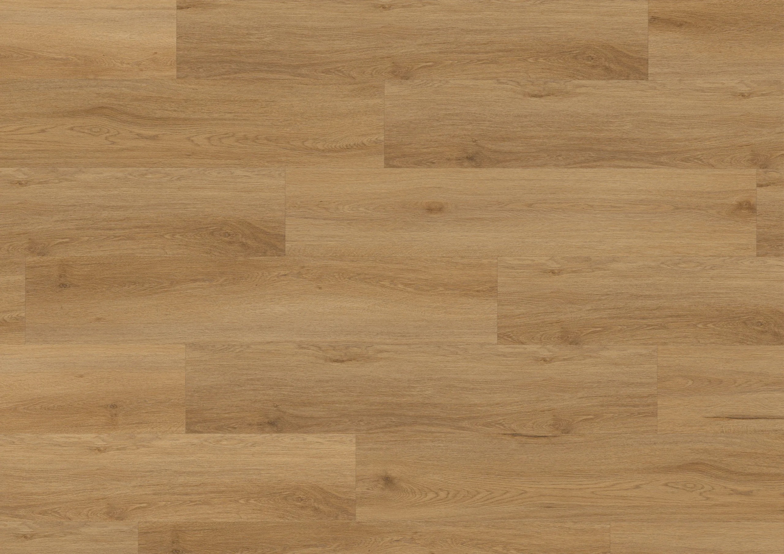 zorin-warm-DVLHDG0855-BCO-4