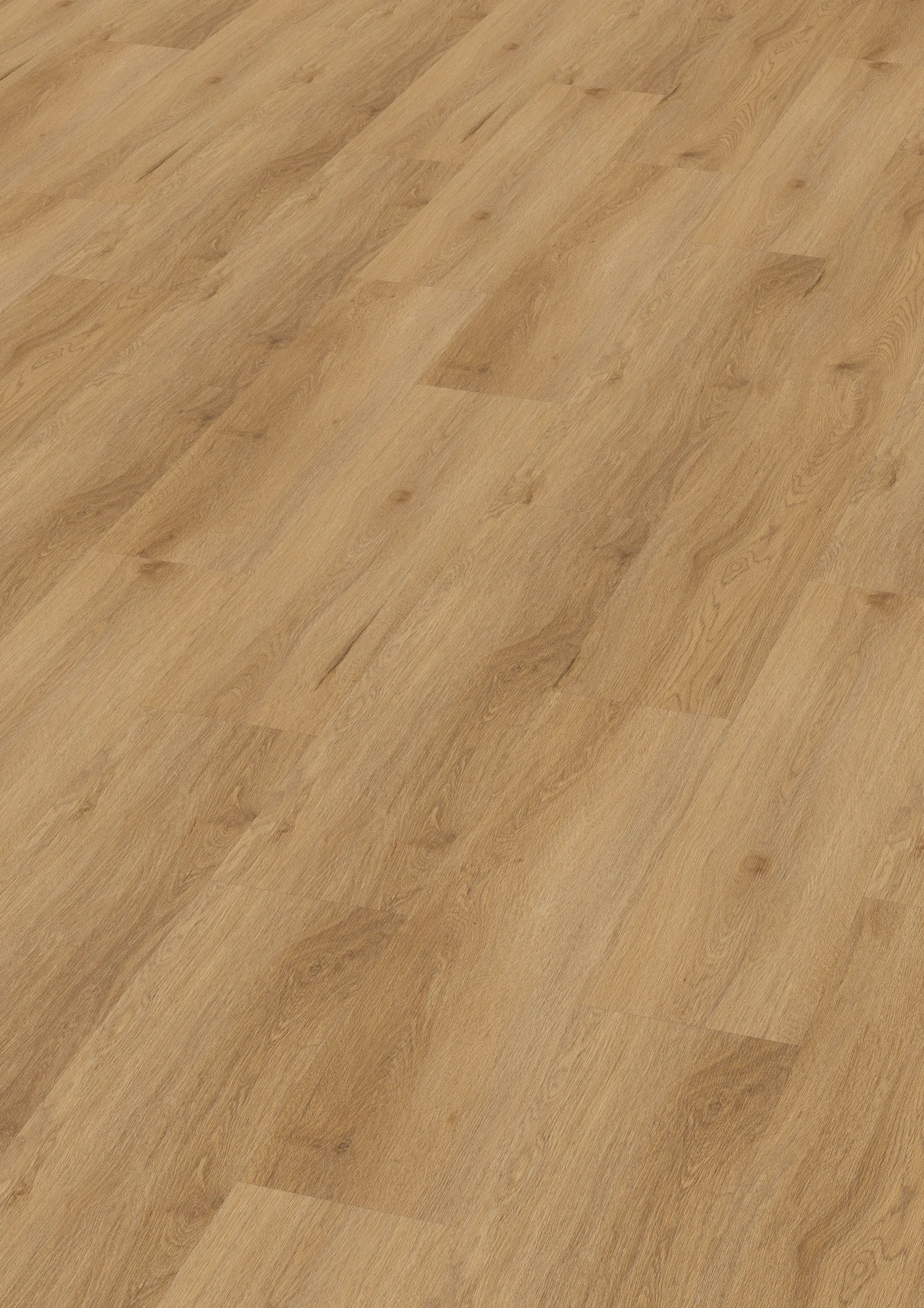 zorin-warm-DVLHDG0855-BCO-5